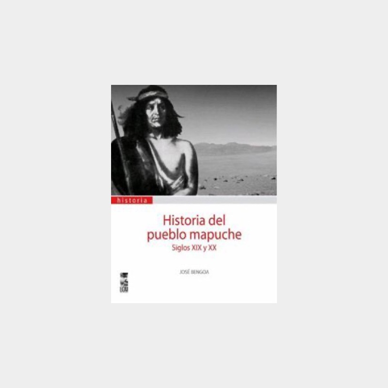 Historia Del Pueblo Mapuche. Siglos XIX Y XX - Librería En El Blanco